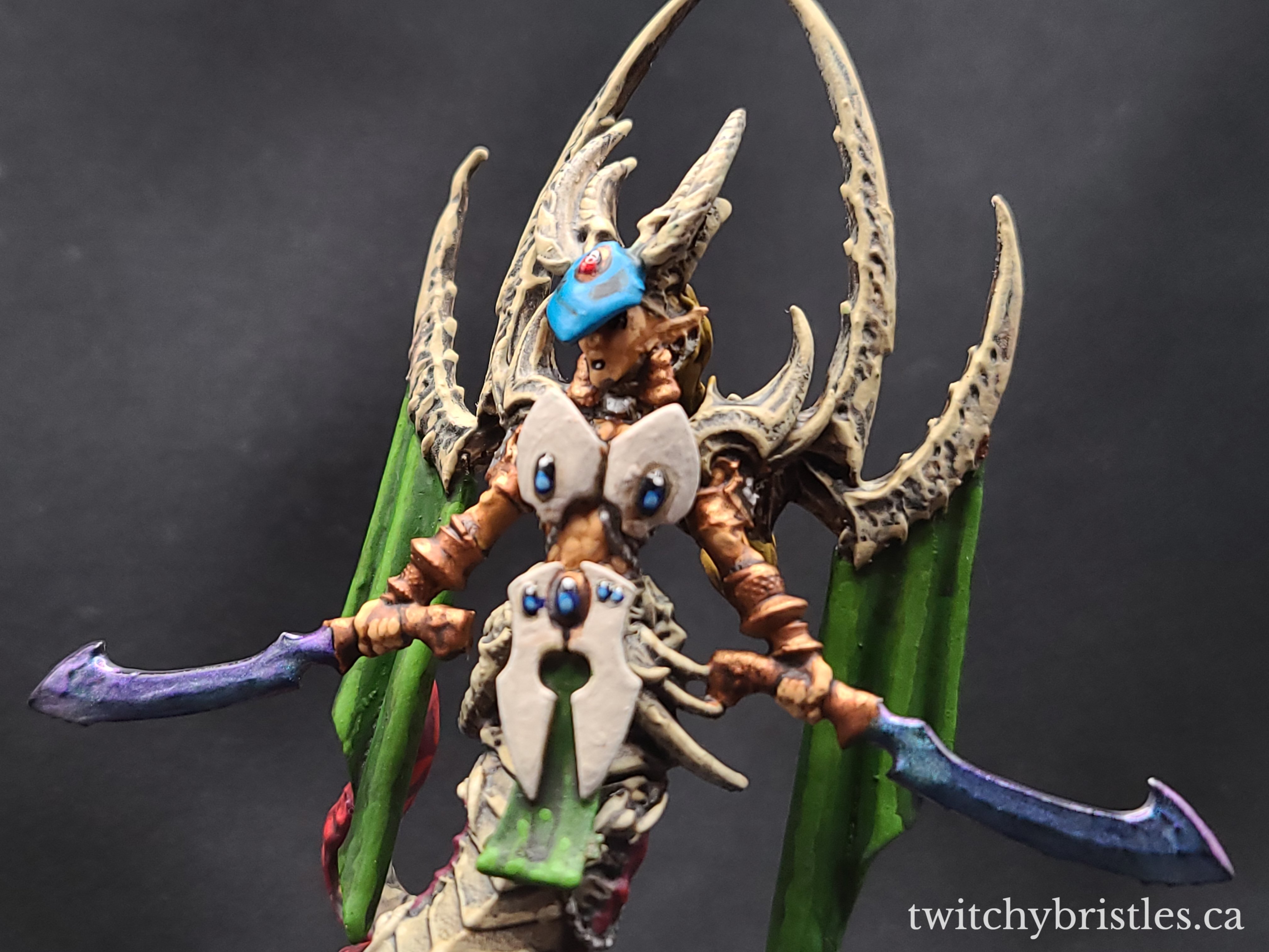 Totally Not Jain Zar – Queen Taipahn by Raging Heroes – Twitchy